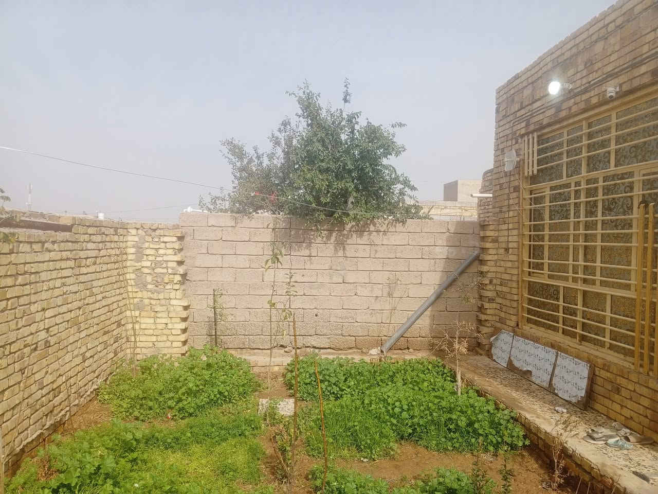 سلام عليكم عندي بيت للبيع في حي رحمة أولى يتكون من غرفتين ما مبنيات وصالة كبير واستقبال وحديقة وساحة وصحيات مطبخ حراري وبارد مساحتة 360متر  ماء و كهرباء ومجاري بيتي يم شيخ كامل لوزعوهة جدد سعر60 قفل  شراي تعال خاص رقمي ***********
