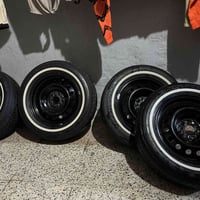 كورلا أصلي • مراوس بويل • حجم ١٦