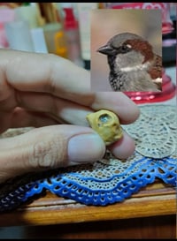 نجف الوفاء • ملاقط • مراوس