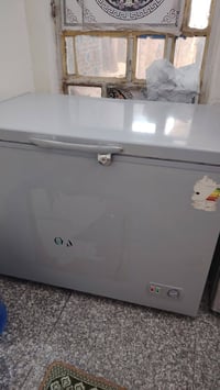 مجمدة • جديدة • الديوانية