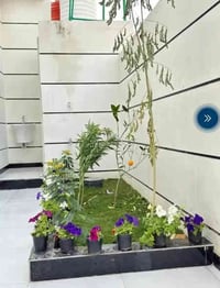 أبي الخصيب البهادريه • فيلا ٦ غرف • طابو ملك صرف