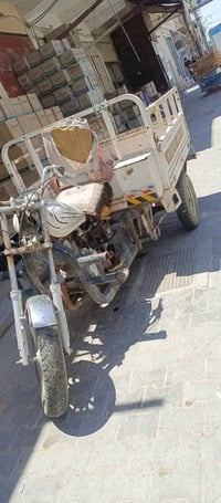 ام تي ار • ٢٠١٦ • شهداء