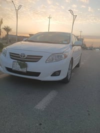 كورلا • ٢٠٠٨ • رقم كركوك