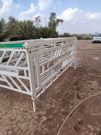 محجر فحل • الديوانية