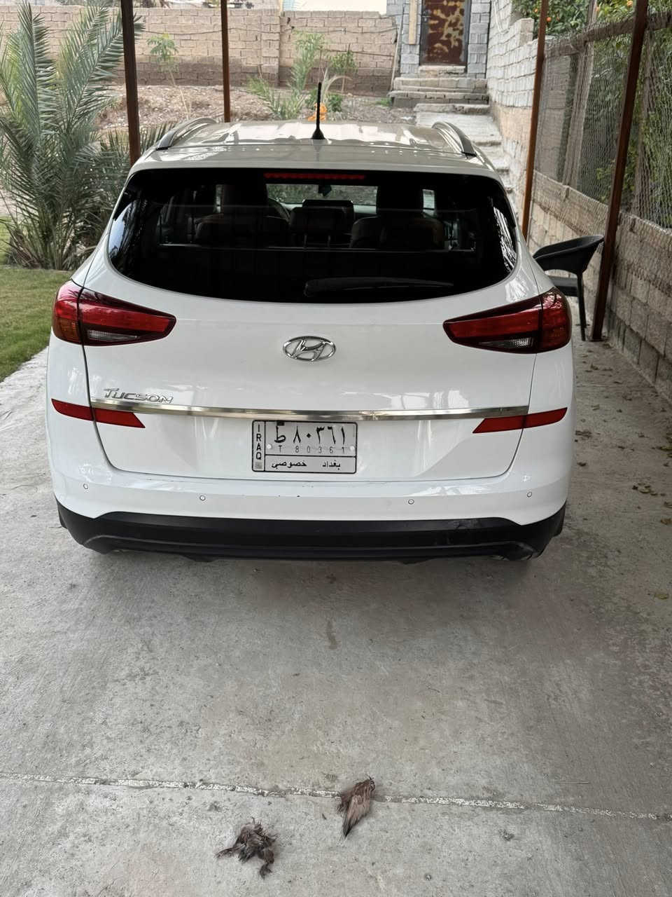 توسان 2019
كاصد خليجي 
حساسات خلفي
لايت 5 عدسات
ليد نهاري
لايت دوار ويه الستيرن
اشارات بالمري ومري شفط
اشارات ترحيب باب ومري
كير 3 انظمه 
بصمه
كشنات جلد كهربائيه
تبريد قطعتين
سايد بريك بل رجل 
 محرك2000دوش
مكان السياره بعقوبه
السعر 203
***********
مكان السيارة ديالى/ بعقوبه
