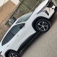 شوفر تراكس • ٢٠٢٤ • كفالة عامه