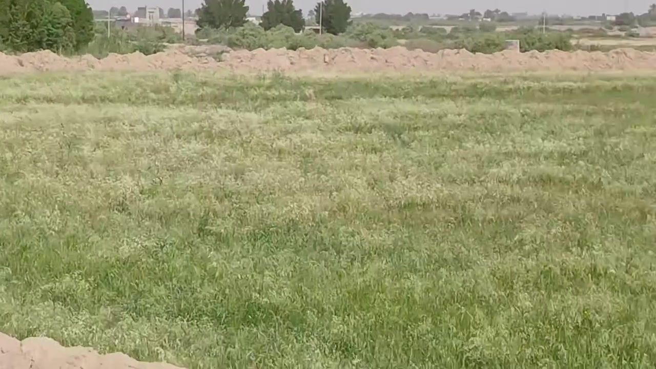 شروة ارض زراعية للبيع في منطقة العيلة للاستفسار على الارقام التالية: ***********  
***********
