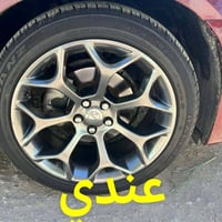 اخوان عندي ويل 20 عنكبوت مراوس ويل 18مكسيكي الي عنده ينزله بالتعليق لو...