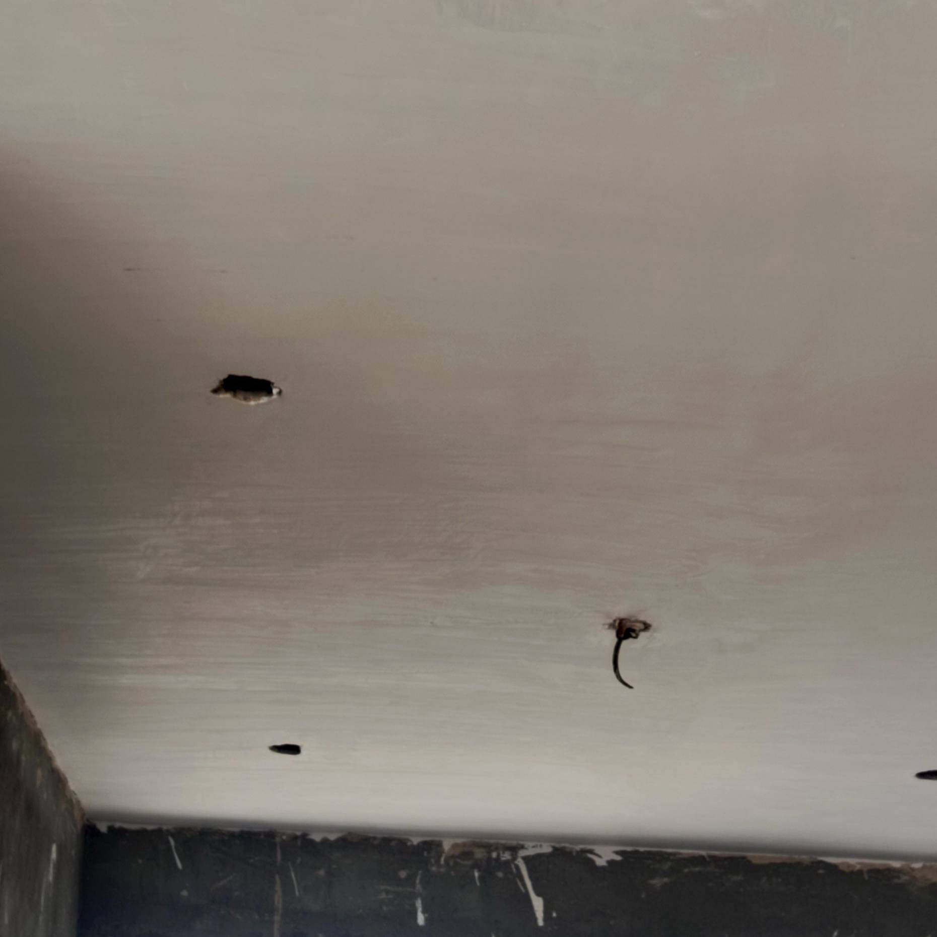 السلام عليكم خلفة متفرغ لبخ/ سمنت _جص_بورك_نثر
***********...بي واتساب
