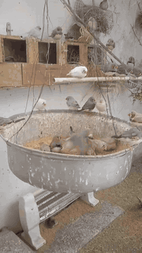 ممتاح فنجس دبدوب عالي أو دبدوب خشن أي استفسار اتصل ‏‪‏‪***********‬‏
