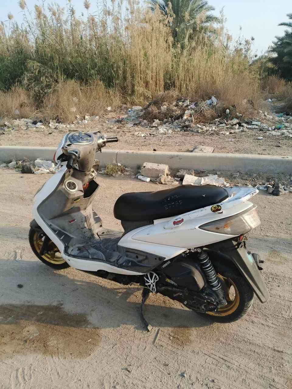 سكنس فحل كابريتر كفاله عامة للبيع او مراوس صارلها اقل لسنه من نازله من رمبه السعر 650 وبيها مجال استفسار ***********
