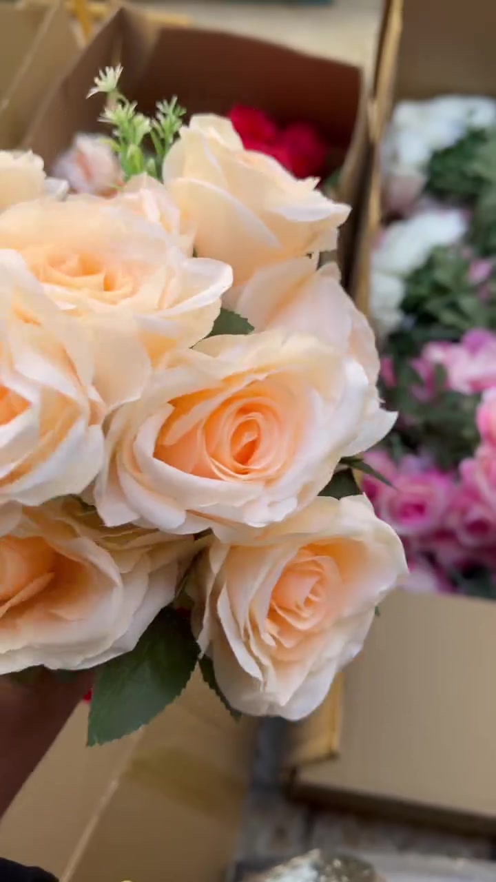 ورد جملة لبيع جديد فقط


**إذا كنت صاحب هذا الإعلان وتريد حذفه لأي سبب، رجاءا أرسل رسالة إلى الدعم الفني**