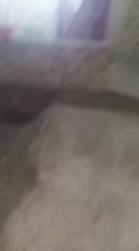 بيت زراعي • الاسكان الصناعي • ٩٥م