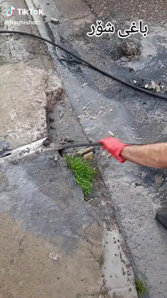 فتح مجاري في كركوك شد خلاطات وكاكات تئسيس بواري تئسيس المجاري تصليح المجاري    فتح كافة المجاري اي انسداد بالمجارياتصل ***********اني اجيك للبيت شرط يفتح اذا مايفتح ماخذ منك ولا دينار تصليح المجاري تبديل البواري التالفه عمل منهولات تبديل كاشي الحمام هاذ رقمي وبخدمتكم اي وقت مفتوح  وه ستاى بورى و كردنه وه ى مجارى و نه هيشتنى بونى ناخوشى مجارى و چاره سه رى هه موو كيشه يهكى مجارى و مه نهوطل  اماده ين بينه ماله كانتان له هه ر كويه كبن. تنكر سحب فتح مجاري في كركوك  منهولات تبديل كاشي الحمام هاذ رقمي وبخدمتكم اي وقت مفتوح  وه ستاى بورى و كردنه وه ى مجارى و نه هيشتنى بونى ناخوشى مجارى و چاره سه رى هه موو كيشه يهكى مجارى و مه نهول  اماده ين بينه ماله كانتان له هه ر كويه كبنفتح مجاري في كركوك شد خلاطات وكاكات تئسيس بواري تئسيس المجاري تصليح المجاري    فتح كافة المجاري اي انسداد بالمجارياتصل ***********#***********اني اجيك للبيت شرط يفتح اذا مايفتح ماخذ منك ولا دينار تصليح المجاري تبديل البواري التالفه عمل منهولات تبديل كاشي الحمام هاذ رقمي وبخدمتكم اي وقت مفتوح  وه ستاى بورى و كردنه وه ى مجارى و نه هيشتنى بونى ناخوشى مجارى و چاره سه رى هه موو كيشه يهكى مجارى و مه نهوطل  اماده ين بينه ماله كانتان له هه ر كويه كبن. تنكر سحب فتح مجاري في كركوك  منهولات تبديل كاشي الحمام هاذ رقمي وبخدمتكم اي وقت مفتوح  وه ستاى بورى و كردنه وه ى مجارى و نه هيشتنى بونى ناخوشى مجارى و چاره سه رى هه موو كيشه يهكى مجارى و مه نهول  اماده ين بينه ماله كانتان له هه ر كويه كبن
