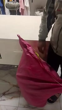 برموده • بحرية • اصلي