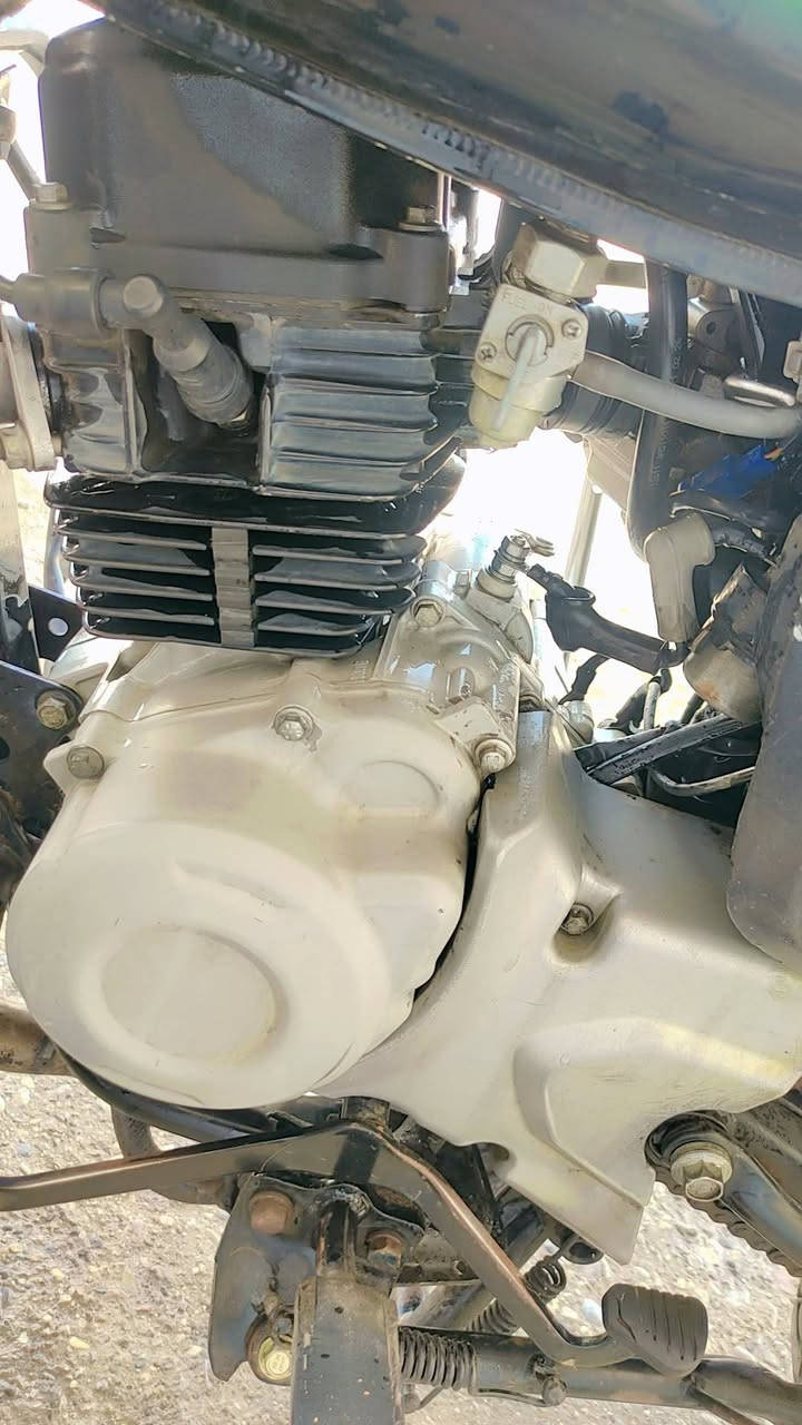 مرحبااا شباب بوكسر 22 للبيع دراجة كلش حلوةة يراد الهة ترتيب مستعجل ع بيع عندي ضرف  اوراقهة كاملة شتريد اني حاضر اكفلهة من جميع النواحي الدراجة جانت بالحجز
هية حمرة تانكيهة يرجع احمر ينكص من فلوسهة  مستعجل ع بيع بسبب ضرف الله يشهد // ادمن من رخصتك حبيبي


**إذا كنت صاحب هذا الإعلان وتريد حذفه لأي سبب، رجاءا أرسل رسالة إلى الدعم الفني**