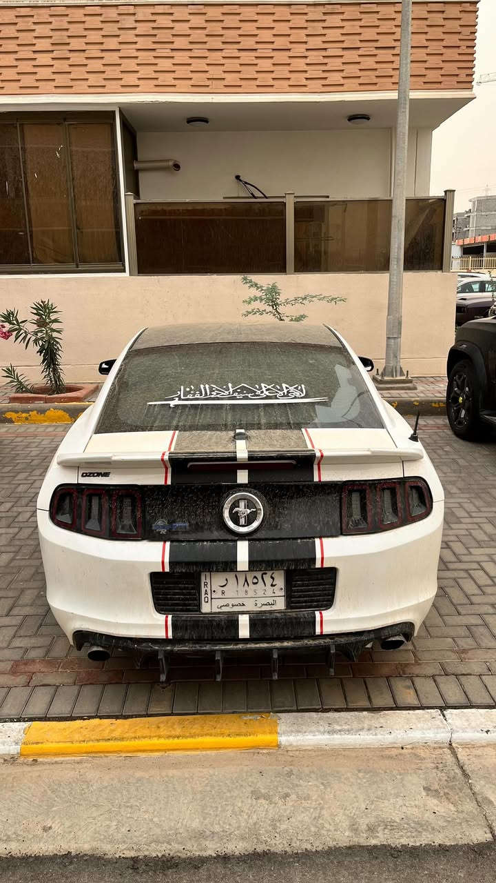 السلام عليكم اخوان 
موستنك 2013 بريميوم ✅
مكينه كير اكسل كفاله شرط الفحص كلش حلو ترايها وناعمه
V6 3.7
تبريد منضومه مال هذا الموسم قبل شهر شادها بس صار ليك وطلع الغاز (( الكمبريسر شغال فقط ليك وتشحن غاز بس مافارغلها بسبب الدوام ))
السياره بيها ٣ قطع صبغ بنيد وجاملغات وشوي مباوك وي البيبان شي كلش قليل علمود اللون الباقي كفاله 
السياره كلش جديده وجاهزه ونضيفه حيل بالنسبه الموديلها 
رقم بصره شرط التحويل عليها غرامات 250 يطيحن من السعر ✅
سياره جاهزه وكلش بلاديه وترايك وين مايعجبك 
سعرها 105 وبيها مجال للشراي (( اخوان لاتقارنها بالمصبوغه عام وحزام السياره جوه مداس اصغر واحد بيكم ونضيفه ومصروف عليها ماتعجبك الله يرزقك بالاحسن منها ))
مكاني بصره
***********
