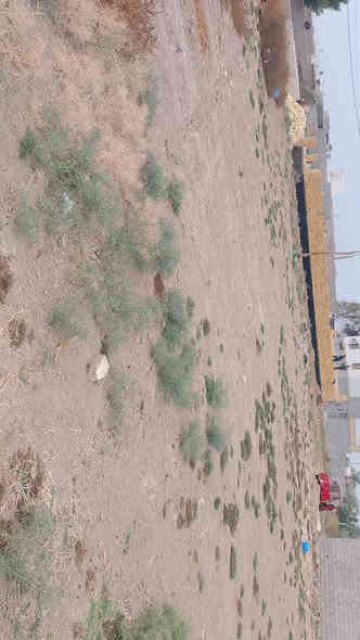 قطع 3 للبيع مساحت لوحده 200 لطول 20 ونزال 10 لمكان وره لبراز سعر لوحده 6ونص ولشراي يتصل عله رقم ***********
