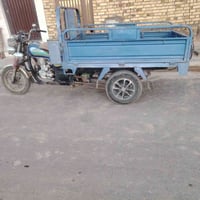 ستوته فحل • ستوته 2021 • اوراق اصولي • شاصي مكفول • ستوته للبيع • دراج...