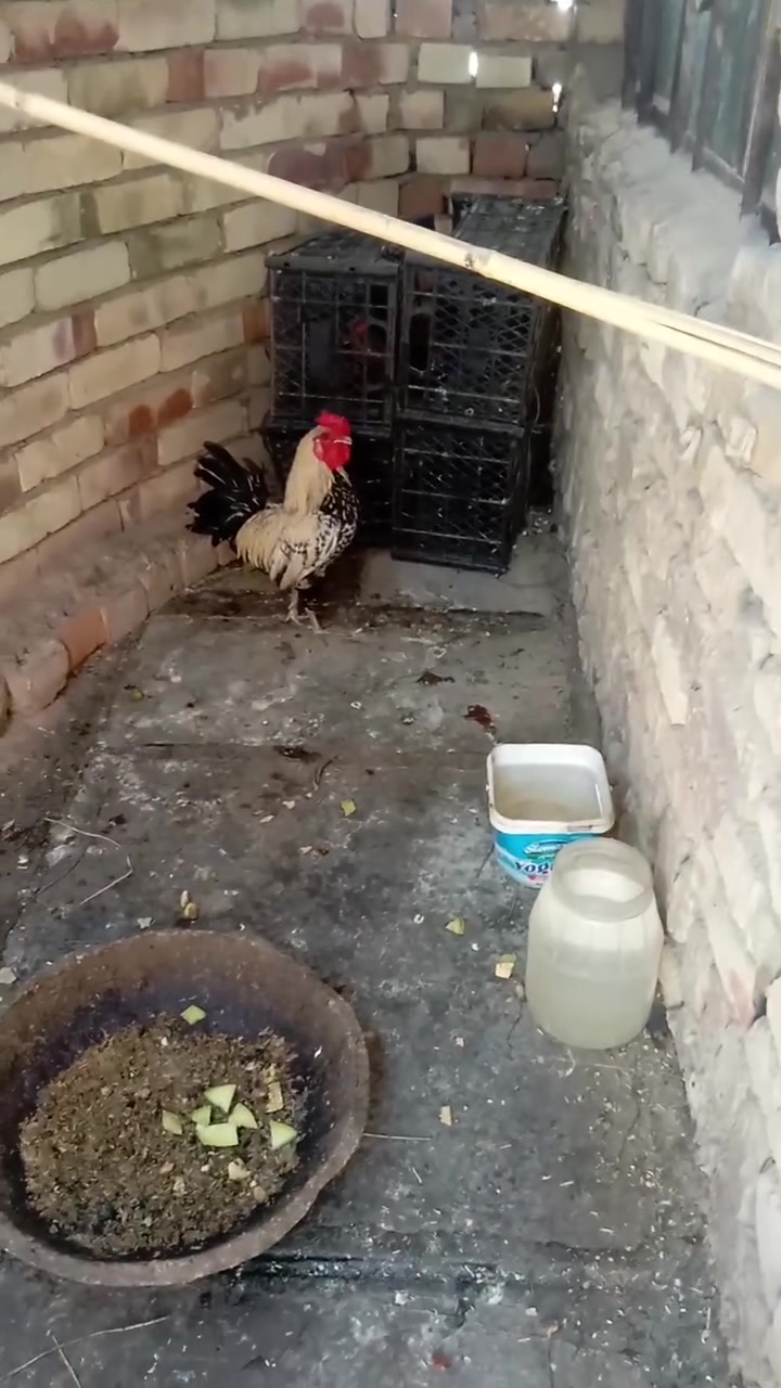 غراض البيع


**إذا كنت صاحب هذا الإعلان وتريد حذفه لأي سبب، رجاءا أرسل رسالة إلى الدعم الفني**