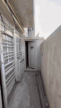 السلام عليكم
بيت زراعي للبيع مساحته ٥٠م

شهداء البياع سوك رضا قرب مولده محمود العامري

الاستفسار ع هذا الرقم ***********
