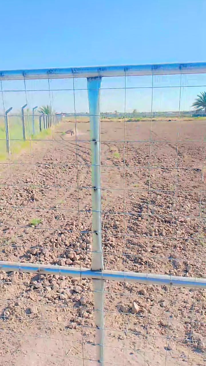 السلام عليكم
كاع طابو زراعي سند25 ع بزل حجي منطقة ابو عرايس كل  الخدمات بيها مدرسة 🏫 قريبة
من مي اسالة او سقي او كهرباء او بير حلو للستفسار الاتصال ***********واتساب مكانها راقي جدا

