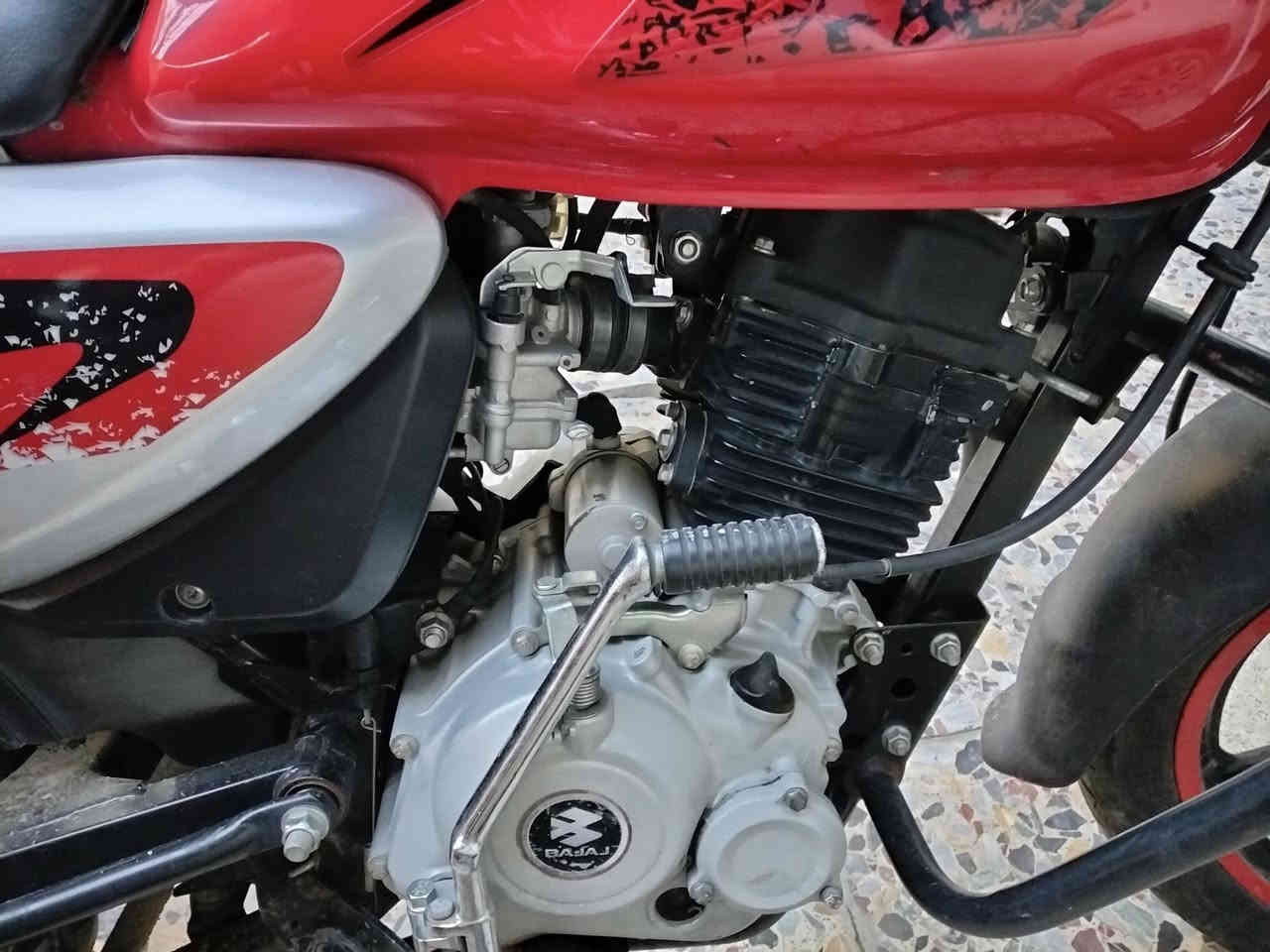 سلام عليكم دراجة بوكسر البيع مكاني بغداد شماعيه موديل 23 مرقم بغداد *********** التصال عله رقم بي واتساب ورصيد
