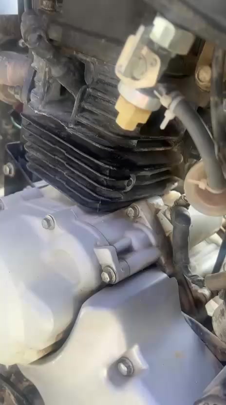 مكلف بل نشر
بوكسر موديل 21 جاهزه أوراق كامله 
نامه شلامجه تعمير أوراق اصولي مكينه سيجي نامه توه معمره صارله 10 أيام 
***********  للاستفسار عل هذا الرقم
مكان ناصريه غراف
