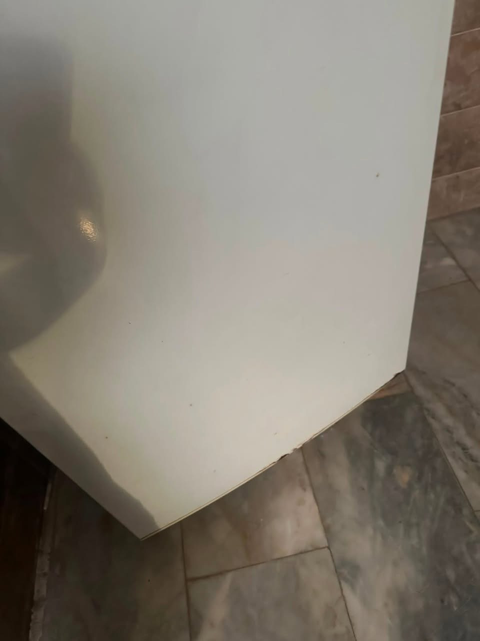 ثلاجه للبيع مداخله تصليح ب75


**إذا كنت صاحب هذا الإعلان وتريد حذفه لأي سبب، رجاءا أرسل رسالة إلى الدعم الفني**