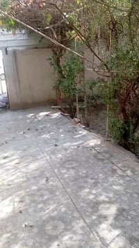 للايجار حي الصحه الايجار 350قفل بيت كبير بيه 3غرف نوم محتاجين عائلة صغ...