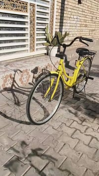 باسكل • كوت زويرجات • للبيع