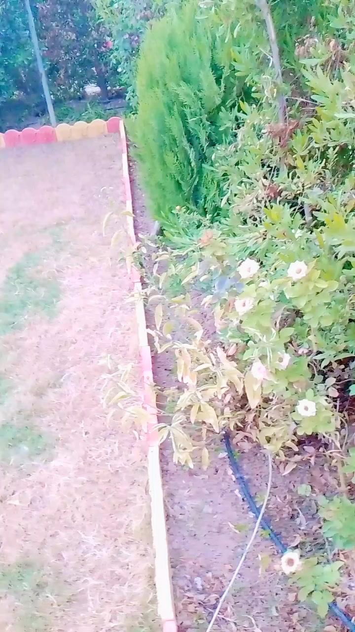 👑((هندسة وتصميم الحدائق، ))👑
🍃مستـعدون🍂 ، لـترتيب🐦 الحدائق المنزلية 🏝️🏘️
وزراعة النباتات، 🌾🌴🌱والازهار، 🌼🌺🌻وقص الثيل.🌾🌾
وعمل الديكورات والتصاميم،الحديثة للحدائق،وعمل وسياجات BRC وسياجات الحدائق، بواسطة الاحجار الملونة والاشتايكر والكربستون،والحلان  ،
ونعمل على تصميم الشلالات 💦والنوافير.⛲ ايضا،، ويتوفر لدينا احجار ملونة. ،💫
واشتايكر  كل قطعتين متر، 
للطلب مراسلة الصفحة   .👉 📩
  🌳او تواصل ويانة واتساب🌲***********
