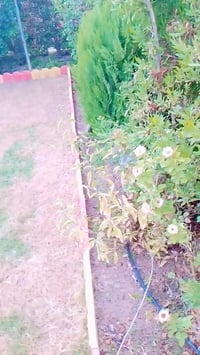 👑((هندسة وتصميم الحدائق، ))👑 🍃مستـعدون🍂 ، لـترتيب🐦 الحدائق المنزلية 🏝️...