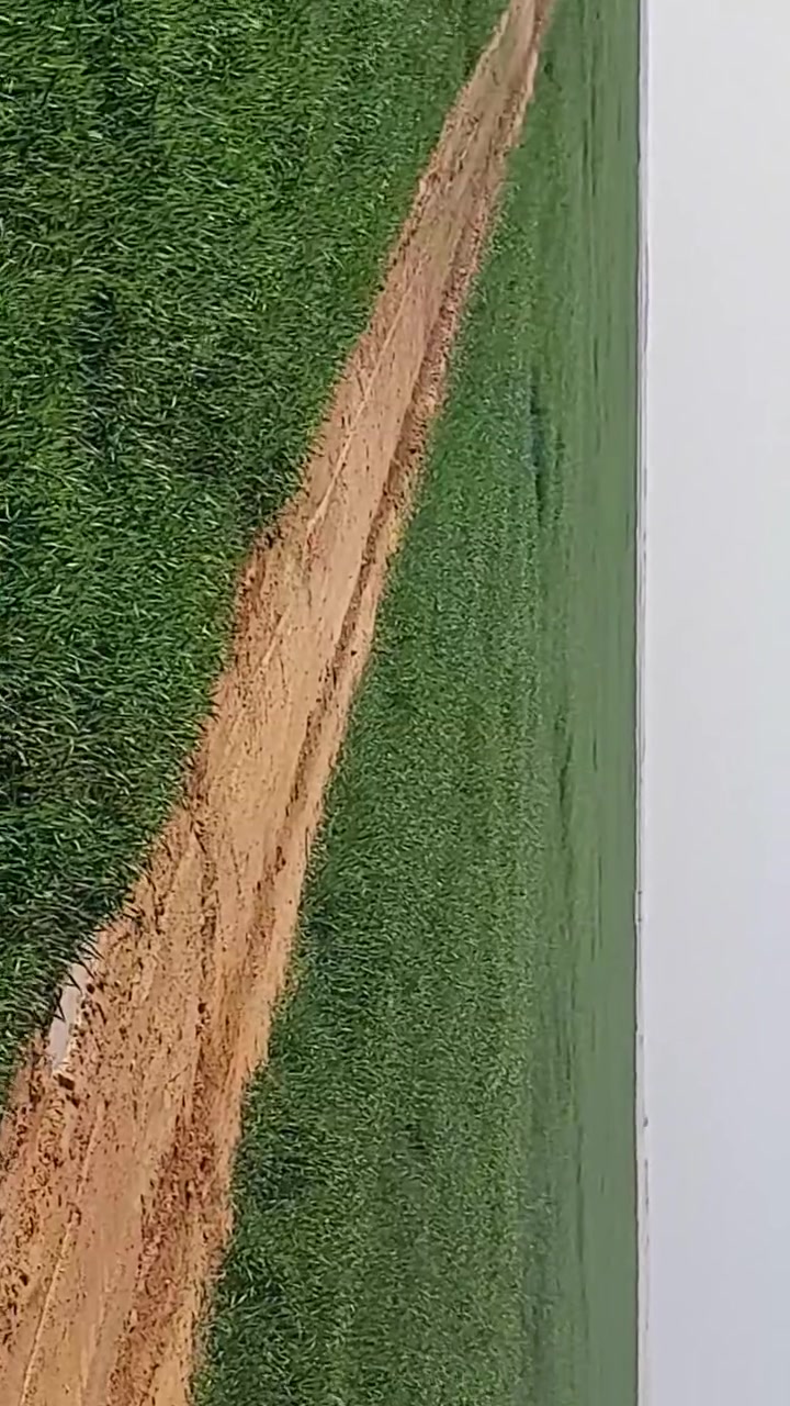 السلام عليكم
مزرعة ببادية النجف للضمان كلها أو قسم منها ،١٠ مرشات داخلات خطة وزارعات السنة والسنة اللي راحت قسم منها مجهزة بطاقات شمسية اضافة لخزانات تسميد ومسمدات. للتواصل على *********** واتساب
