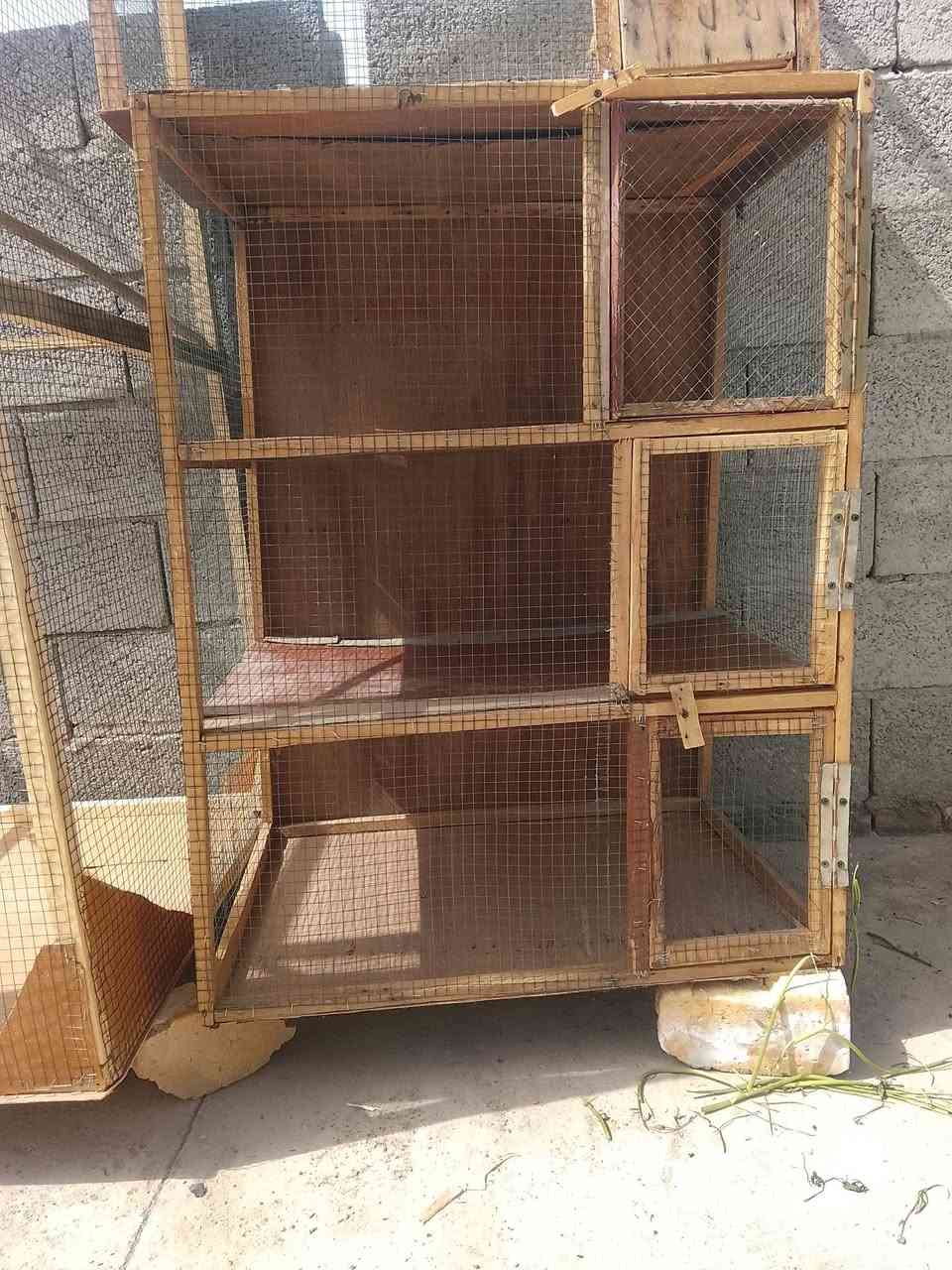 اقفاص للبيع


**إذا كنت صاحب هذا الإعلان وتريد حذفه لأي سبب، رجاءا أرسل رسالة إلى الدعم الفني**