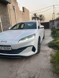سيل ٦ • ماشية ١٩ • خدوش