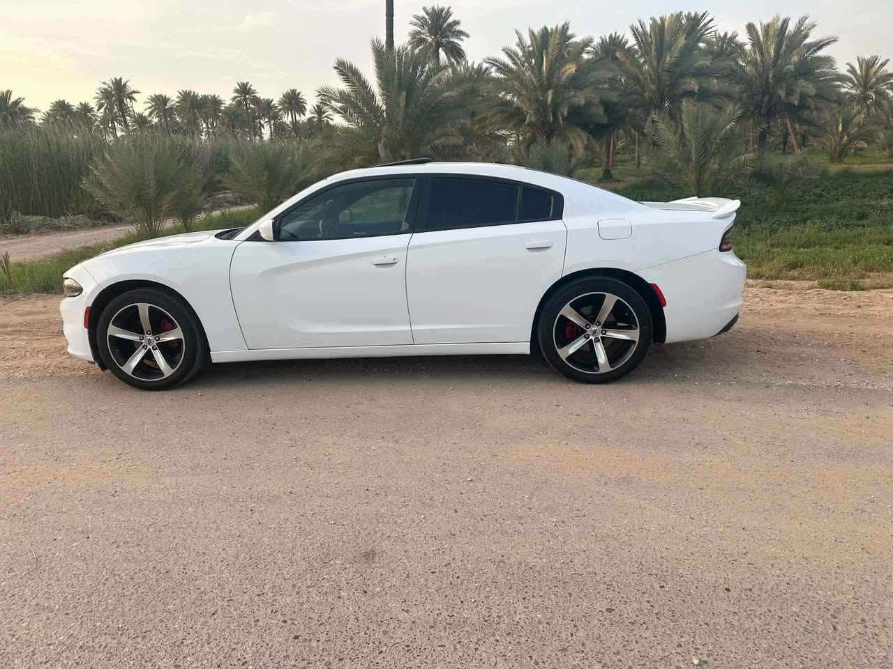 سلام عليكم عندي جارجر مديل ٢٠١٥مكينه ٣٦٠٠للبيع او مراوس سياره ماشيه ١٢٩ ميل بدون حادث وتبديل صور حادثه موجوده وسونار موجود سعر ١٩٠ مكاني كربلاء طويريج وهاذ رقمي *********** ***********
