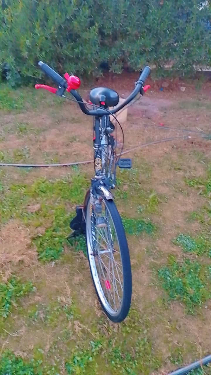 باسكال للبيع حجم ٢٦ سعر ١٠٠ الف وبي مجال


**إذا كنت صاحب هذا الإعلان وتريد حذفه لأي سبب، رجاءا أرسل رسالة إلى الدعم الفني**