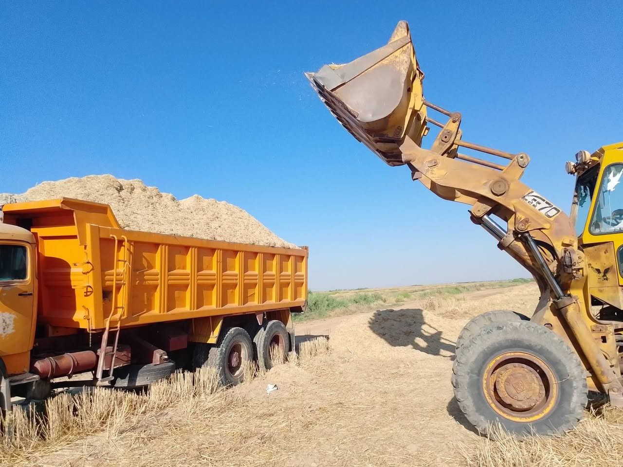 يوجد تبن حنطه بسعر مناسب***********
