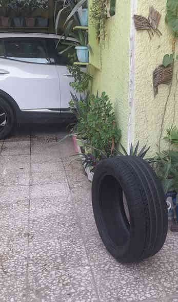 السلام عليكم
تاير سبورتج اصلي نوع نكسين تك واحد مسعمل نظافة ٨٥% .. بدون اي ضرر .. قياس 235×50×R19  .. بغداد حي الاعلام .. السعر ٣٠ الف نهائي .. ***********
