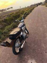 شاصي 22 • أوراق كاملة • نجف حولي