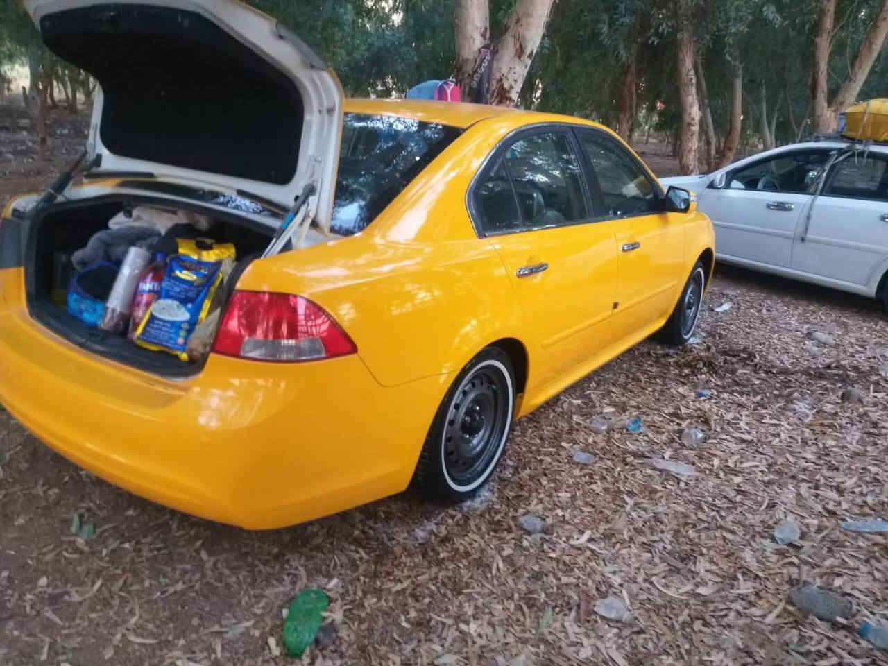 السلام عليكم  اوبتيما خليجي موديل 2010 فول واحد على واحد  مكفوله ماعده تبيدل جاملغ امامي وبنيد فتح بدون تبديل باقي كفاله سياره صفاح موس مكينه كير حداديه تبريد جاهزه على اخر حبايه رقم القاسية نكليزي  مصفره تحويل ثاني يوم مكان سياره الديوانية ***********
السعر 118 بيه مجال شراي ماتعجبك اعبر منشور
