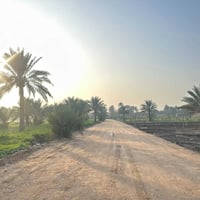 حلّة النيل • ٥٠٠م•١٠٠٠م•دونم • مباشر من المالك