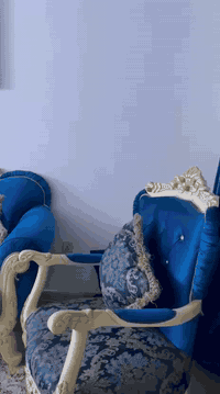 السلام وعليكم
يوجد تخم ملكي للبيع 
سعر البيع 450 وتخم نضيف كما في الصور لا يوجد ضرر 
مكان البصرة حي الرسالة


**إذا كنت صاحب هذا الإعلان وتريد حذفه لأي سبب، رجاءا أرسل رسالة إلى الدعم الفني**