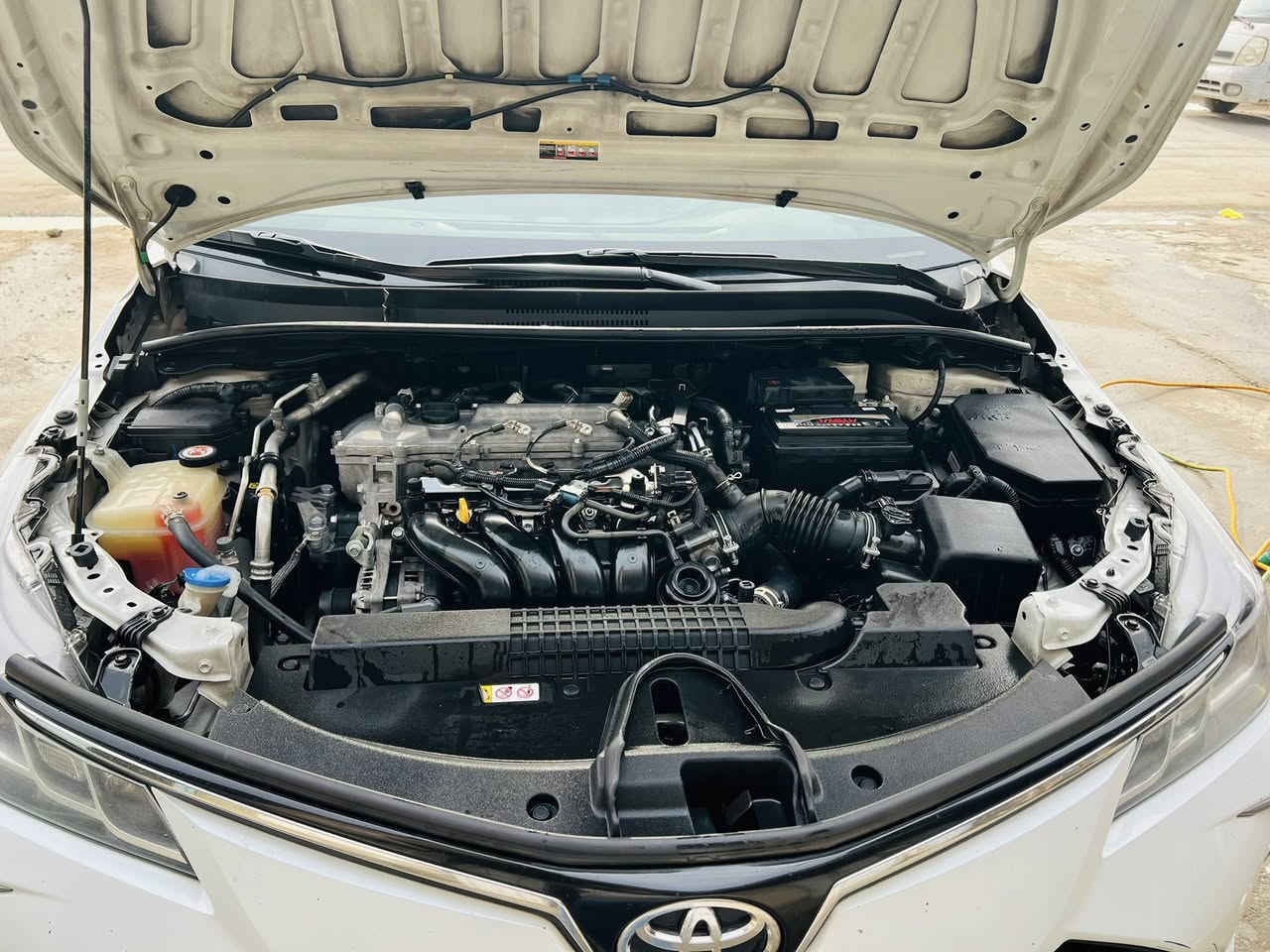 سلام عليكم شباب كورلا زاز شركت تيوته لبيع سياره بيها بارد بس وماشر عليهن جاملغ لخلفي رقم لهاتف *********** سياره رقم اربيل. وصاحبهن. هنا بغداد
