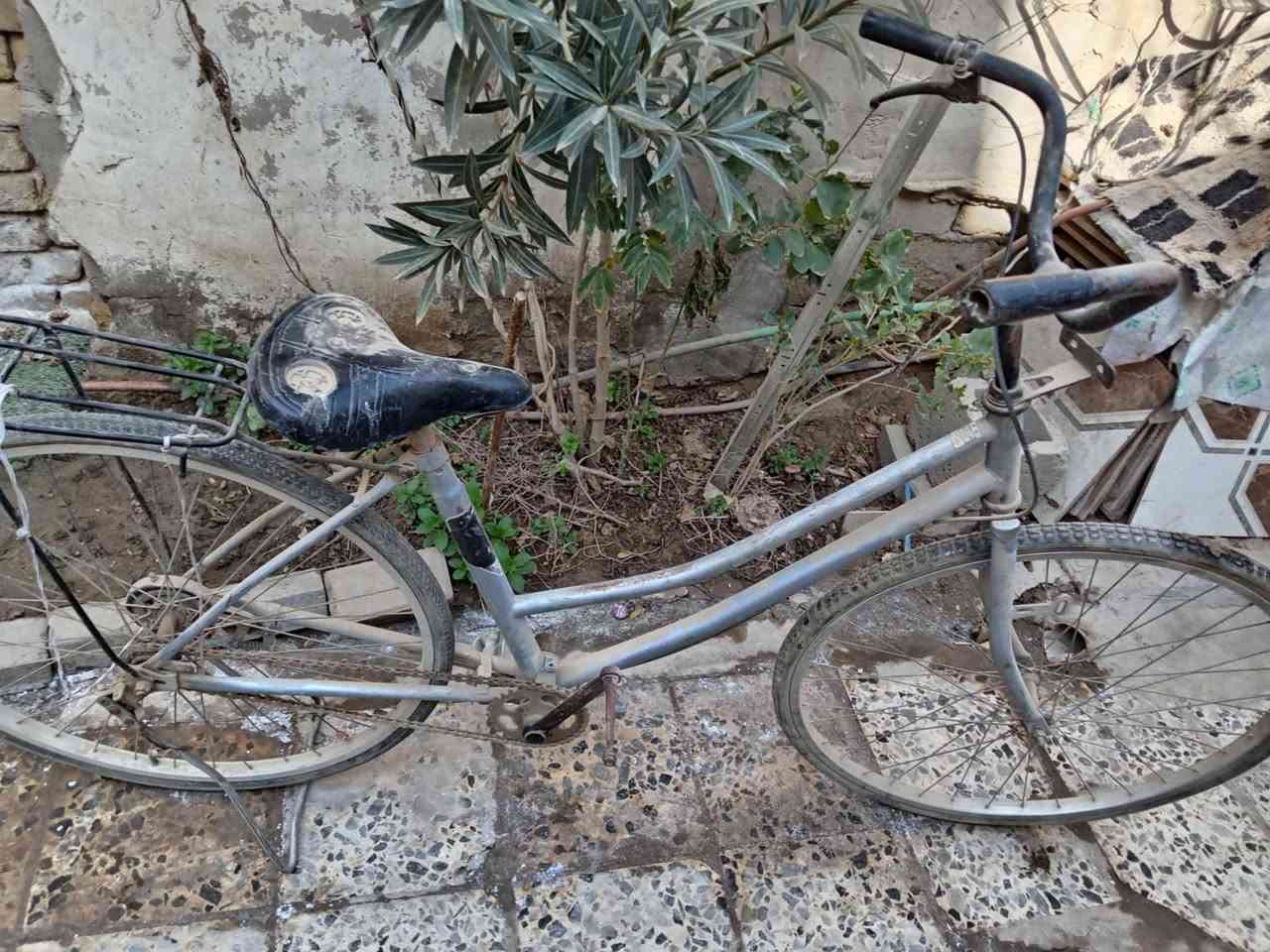 باسكل ٢٦ ب ٣٥ مركز الديوانية وجامعات موجودات


**إذا كنت صاحب هذا الإعلان وتريد حذفه لأي سبب، رجاءا أرسل رسالة إلى الدعم الفني**