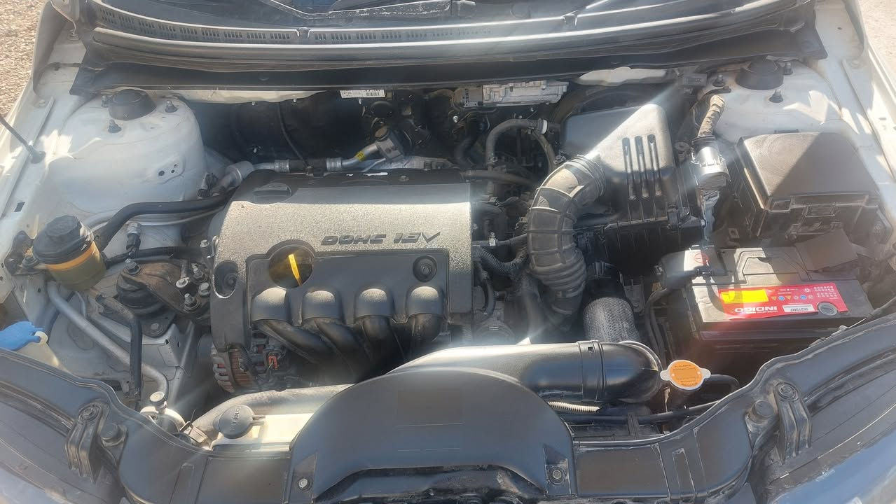 سيراتو 2013 رقم سليمانية جديد سنويه ل28 سياره جاهزه من كلشي كير محرك خير من الله تخم تايرجديد صدر امامي خلفي جديد تبريد تدفئة سياره نضيفه وجاهزه ومابيه اي نقص مكينه ١٦٠٠دوش بيهة ٣ قطع بدون دواخل السعر 100 وبيها مجال العنوان ديالى
خاص مغلق اتصل ع رقم
***********
