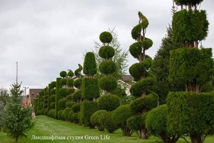 بەلاش بەلاش داری مۆرد سروشتی هەڵبژێرە 1000دینار  
مەیکرە بە 5هەزار  لای ئێمە 1هەزار 

سەیدسادق نزیک پردی قەرزاران یان نزیک مرگەوتی ئەبوبەکری سدیق


**إذا كنت صاحب هذا الإعلان وتريد حذفه لأي سبب، رجاءا أرسل رسالة إلى الدعم الفني**