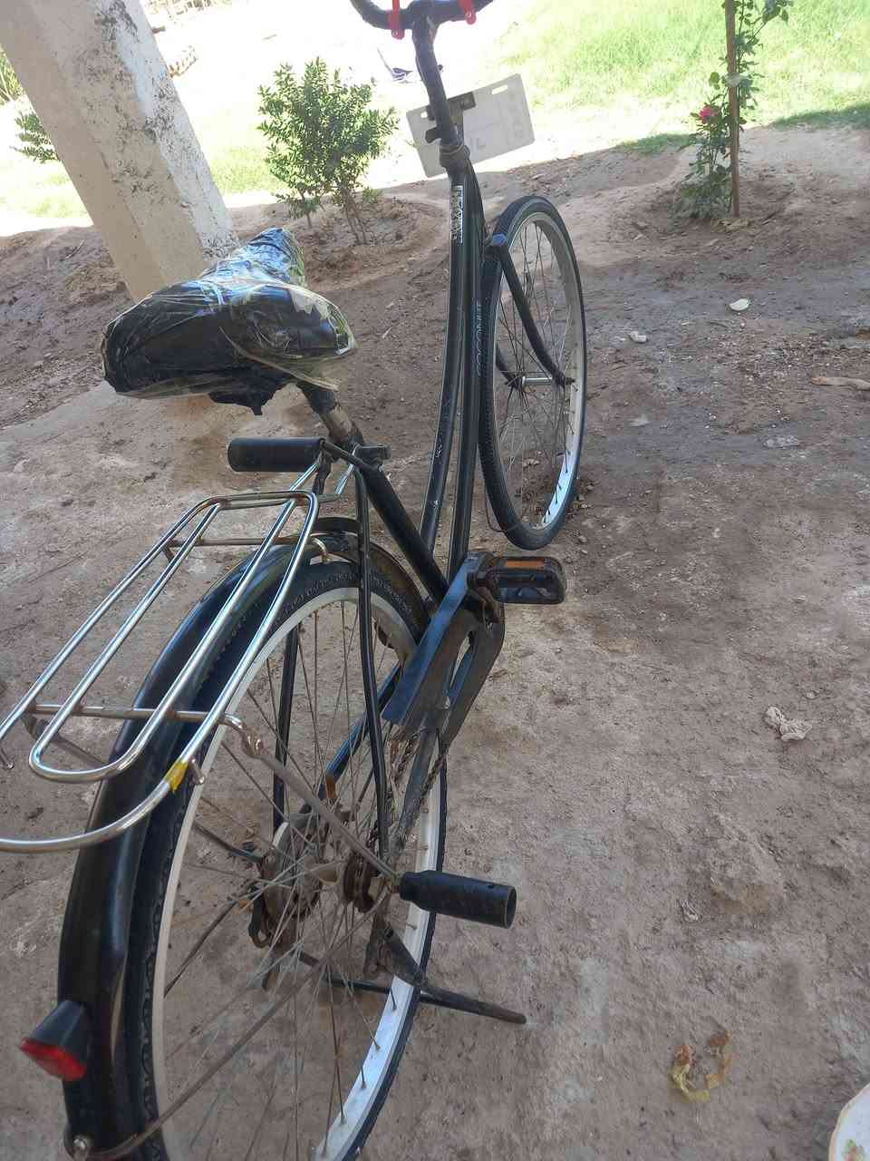 سلام عليكم باسكل لللبيع سعر خاص


**إذا كنت صاحب هذا الإعلان وتريد حذفه لأي سبب، رجاءا أرسل رسالة إلى الدعم الفني**