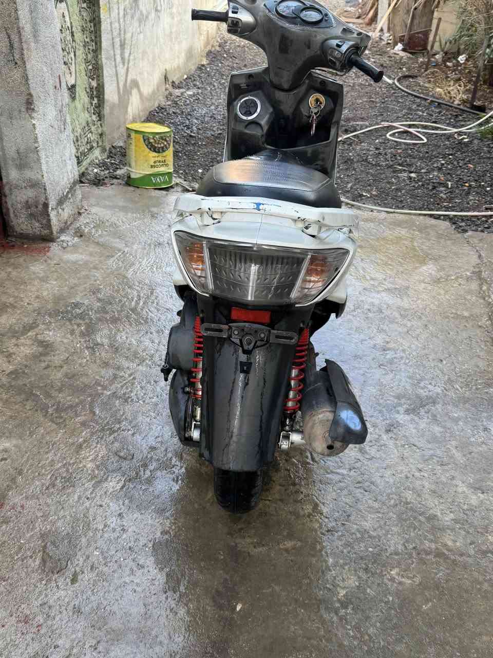 سكنس فحل للبيع مكاني بغداد الغزاليه السعر 700 مثا ما واضح بل صوره ***********
